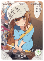 NS-01-44 Platelet | Cells at Work!